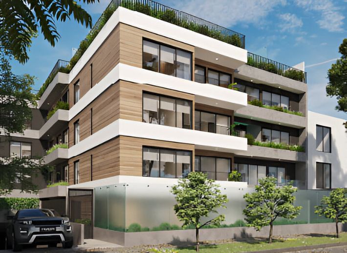 proyecto fuente san isidro